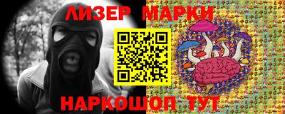 прущие грибы Краснознаменск