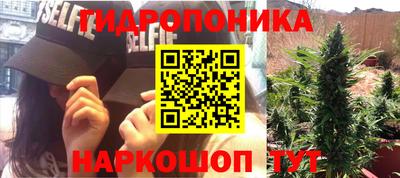 прущие грибы Краснознаменск