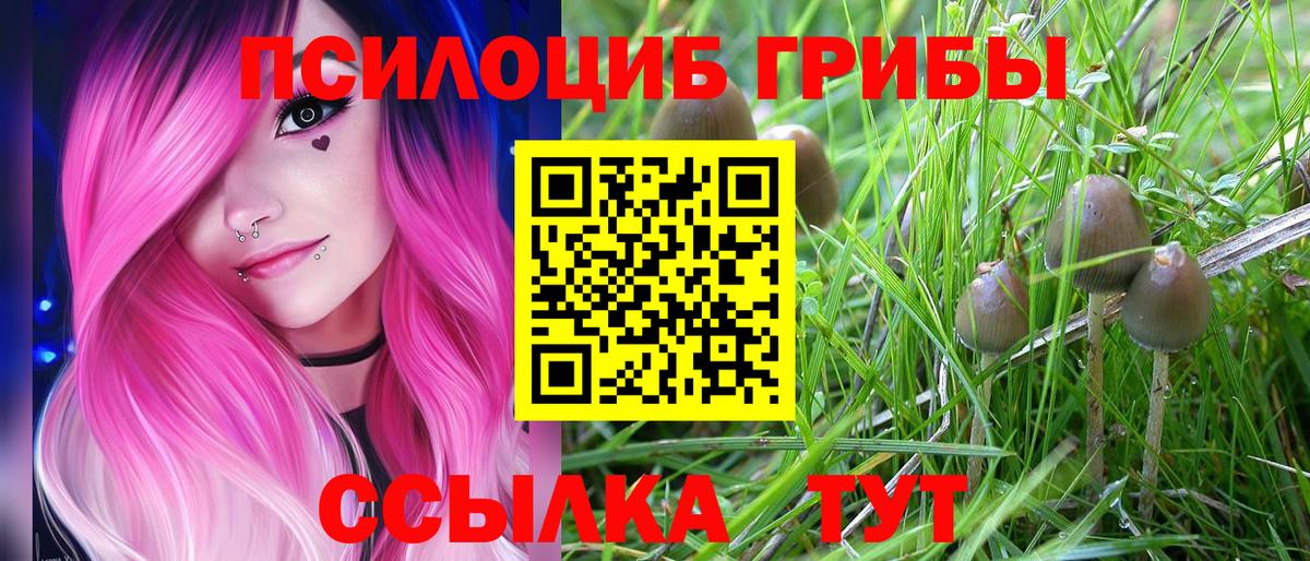Галлюциногенные грибы Psilocybine cubensis Качканар