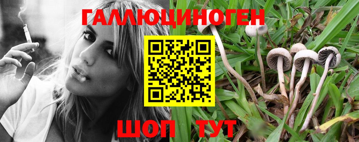 наркотики  Вход с VPN  Качканар  Псилоцибиновые грибы Magic Shrooms 
